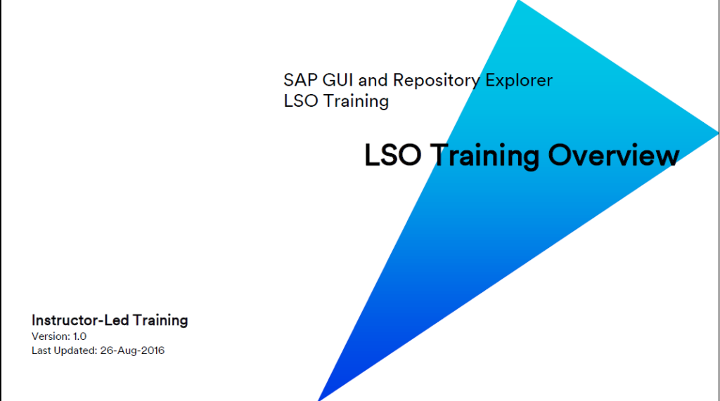 LSO Training Overview